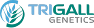 Logo Trigall