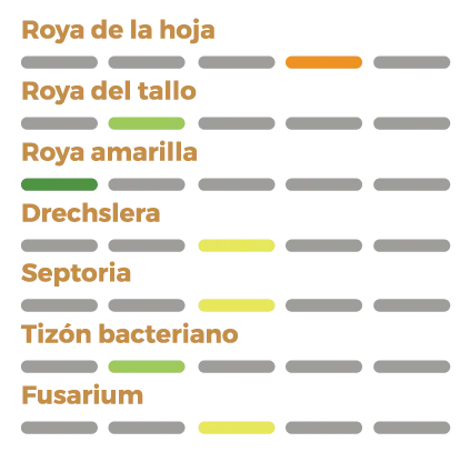 Perfil sanitario