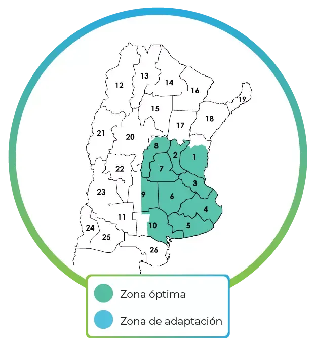 Mapa Arazá