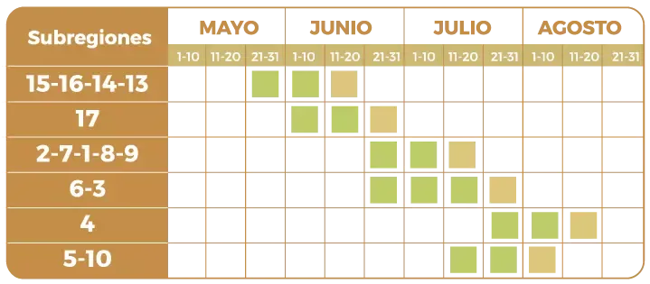 fecha-opt