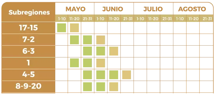 fecha-opt