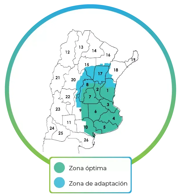 Mapa Guayabo