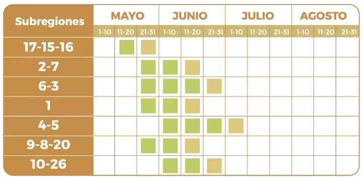 fecha-opt