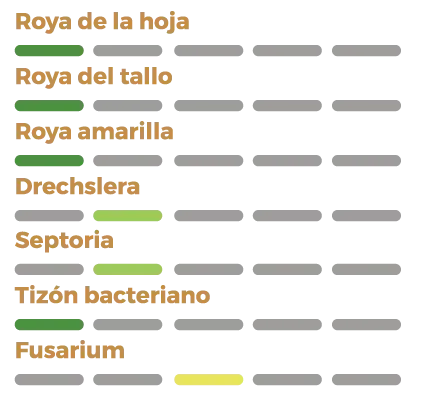 Perfil sanitario