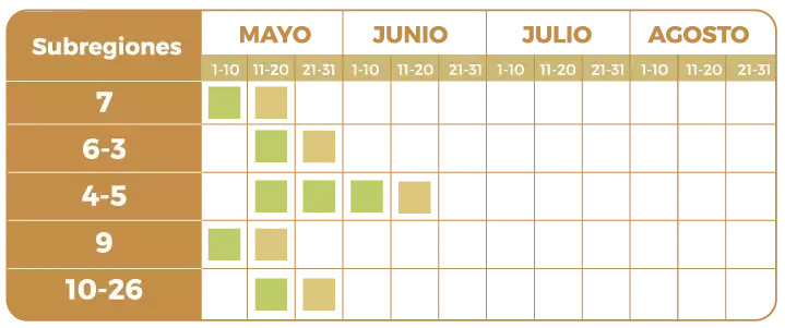 fecha-opt