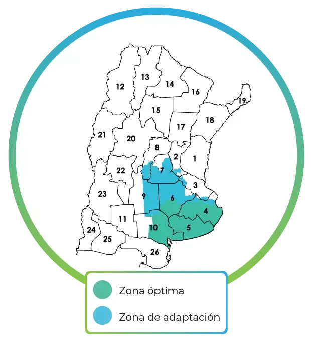 Mapa Timbó