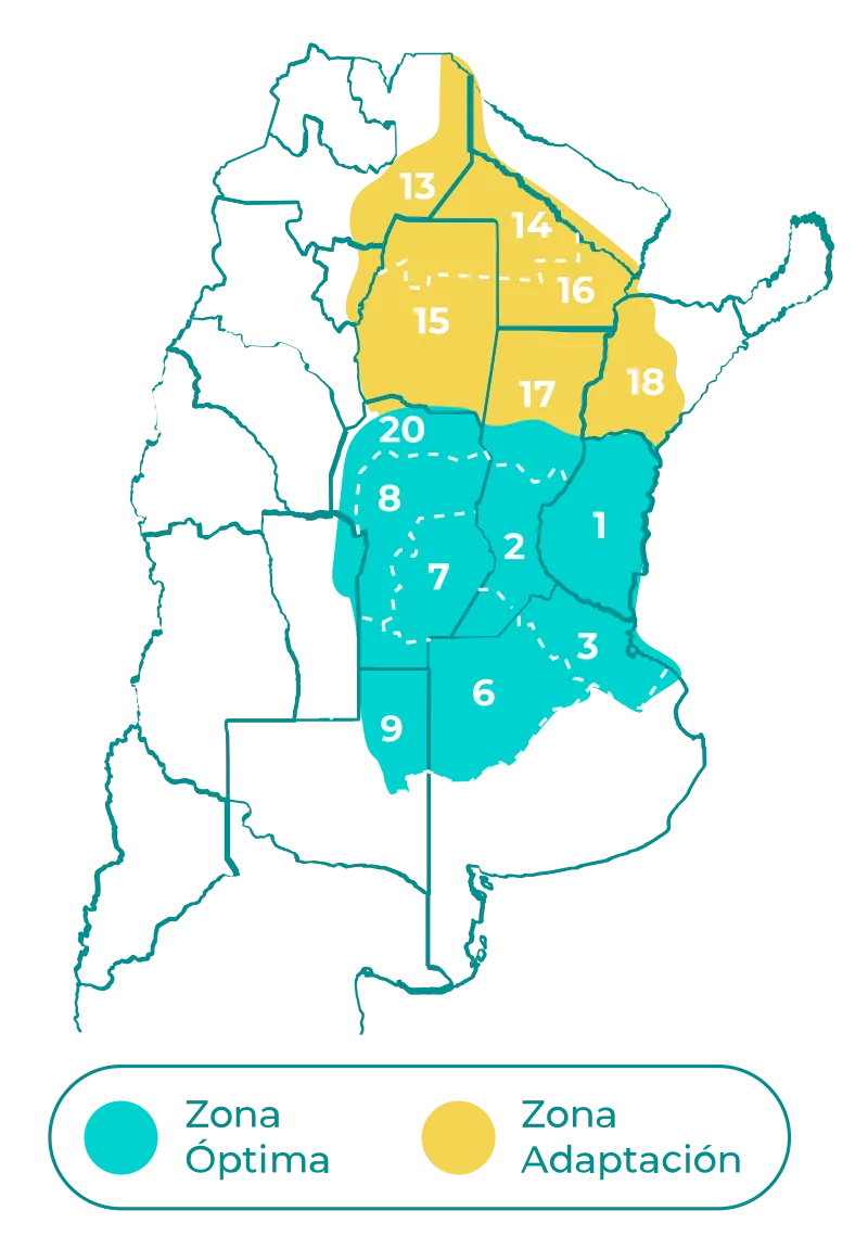 Arce-mapa-1