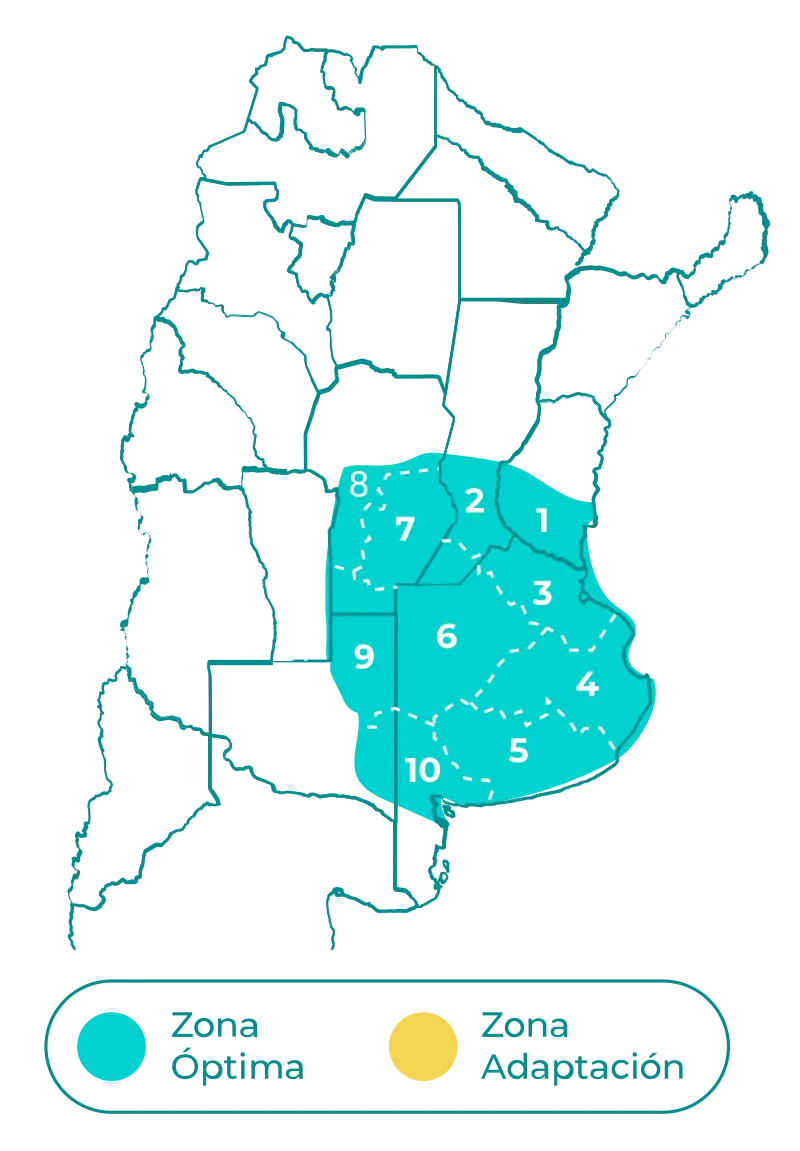 Laurel-mapa