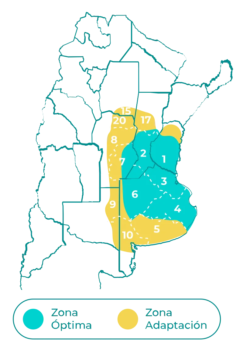 Araza-mapa_1