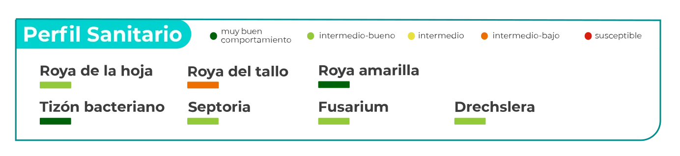 Araza-perfil-sanitario-1