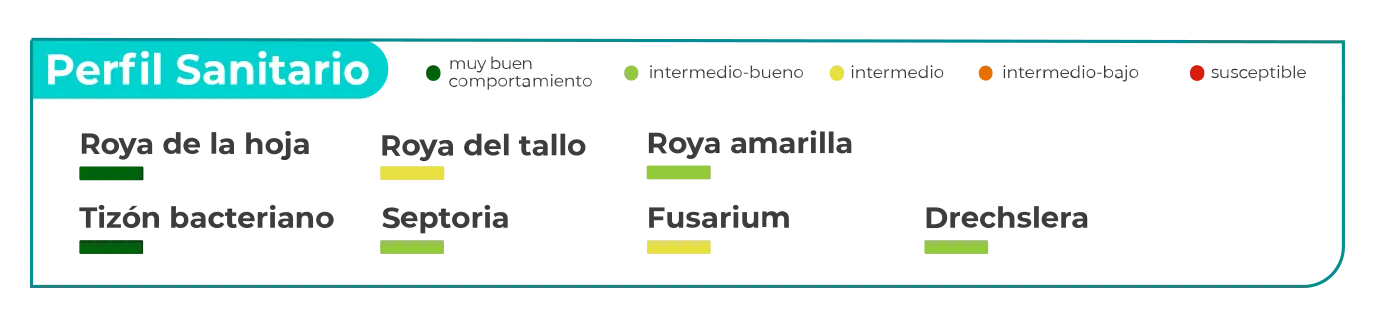 Arce-perfil-sanitario-2