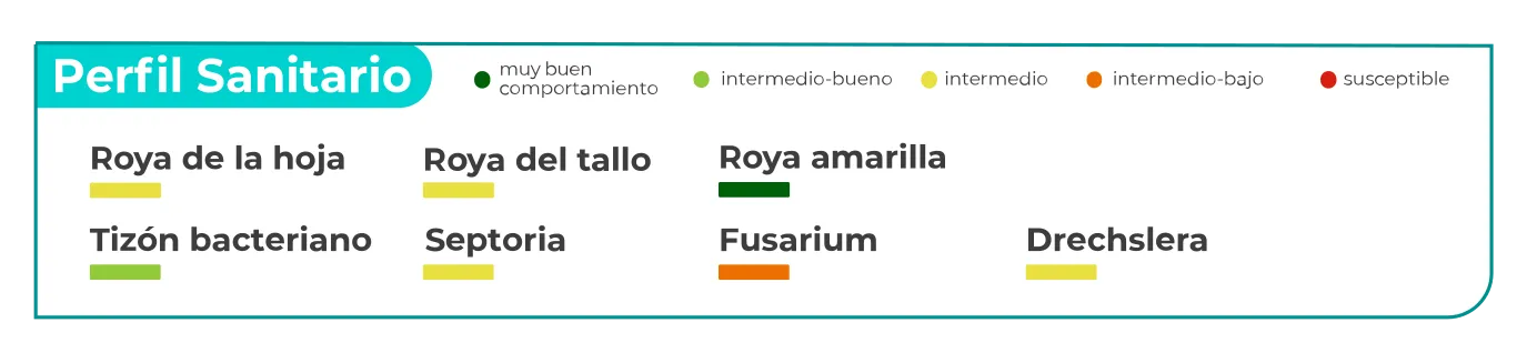 BioInta-perfil-sanitario-3