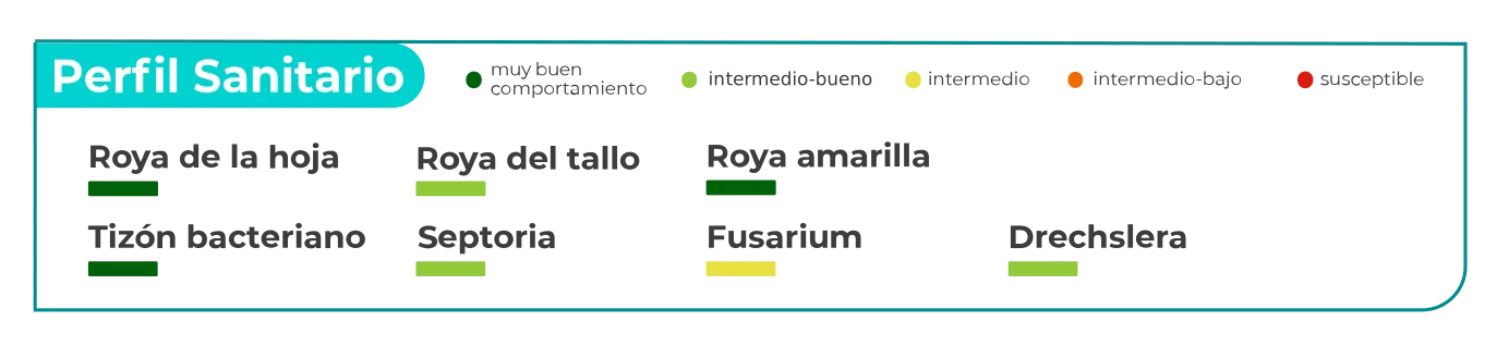 Laurel-perfil-sanitario